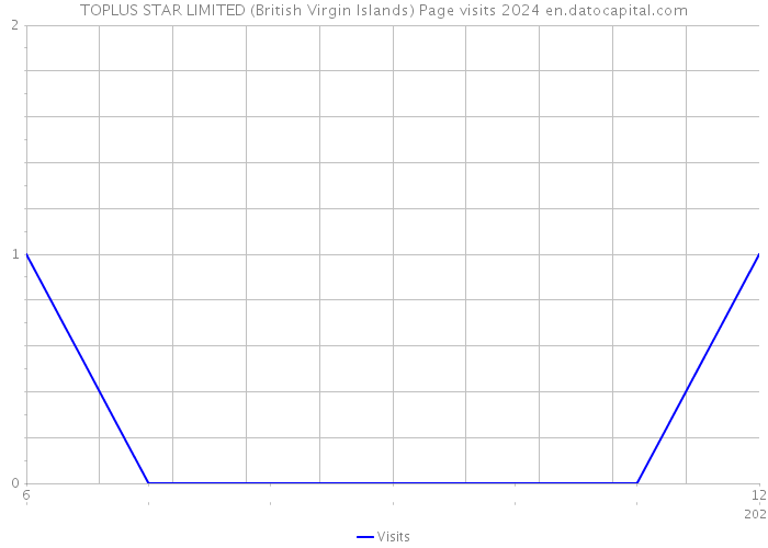 TOPLUS STAR LIMITED (British Virgin Islands) Page visits 2024 