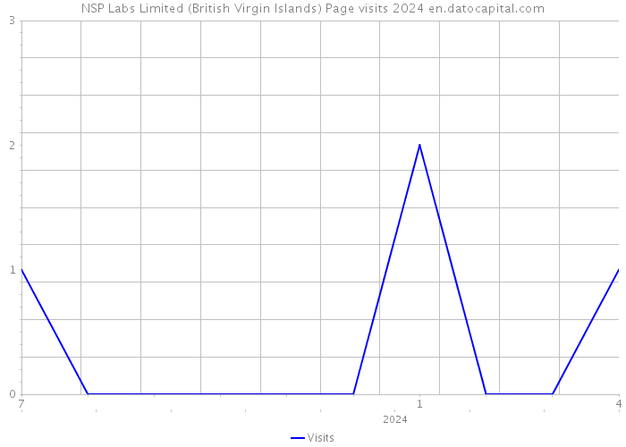 NSP Labs Limited (British Virgin Islands) Page visits 2024 