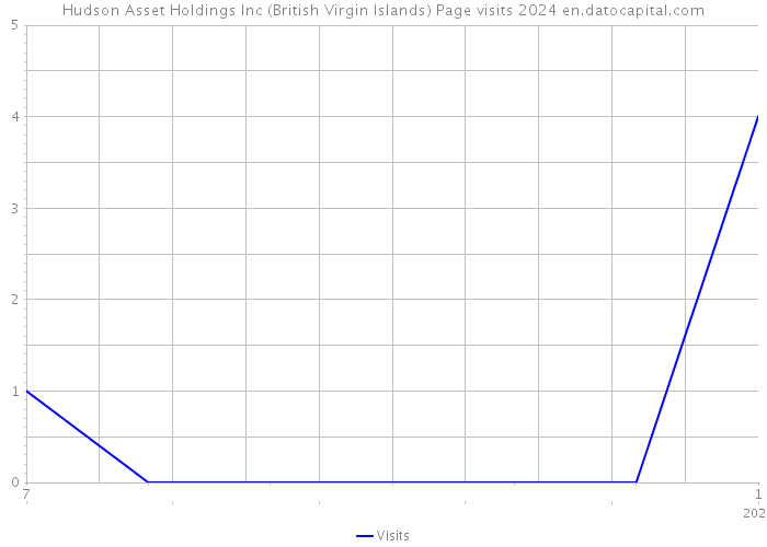 Hudson Asset Holdings Inc (British Virgin Islands) Page visits 2024 