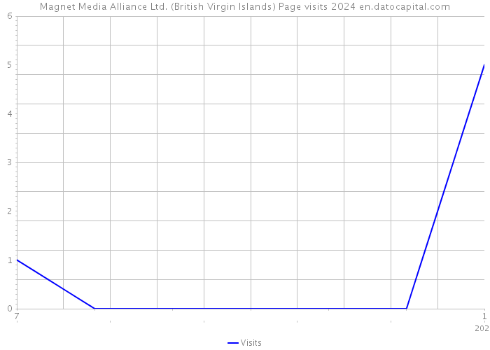 Magnet Media Alliance Ltd. (British Virgin Islands) Page visits 2024 