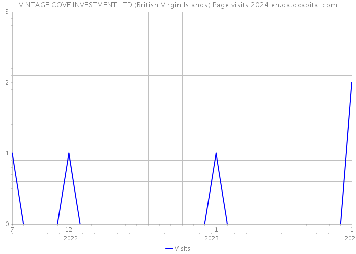 VINTAGE COVE INVESTMENT LTD (British Virgin Islands) Page visits 2024 