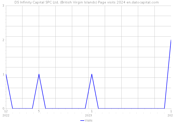 DS Infinity Capital SPC Ltd. (British Virgin Islands) Page visits 2024 