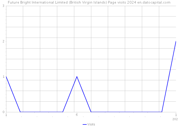 Future Bright International Limited (British Virgin Islands) Page visits 2024 