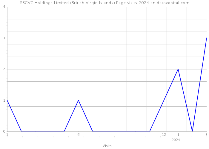 SBCVC Holdings Limited (British Virgin Islands) Page visits 2024 