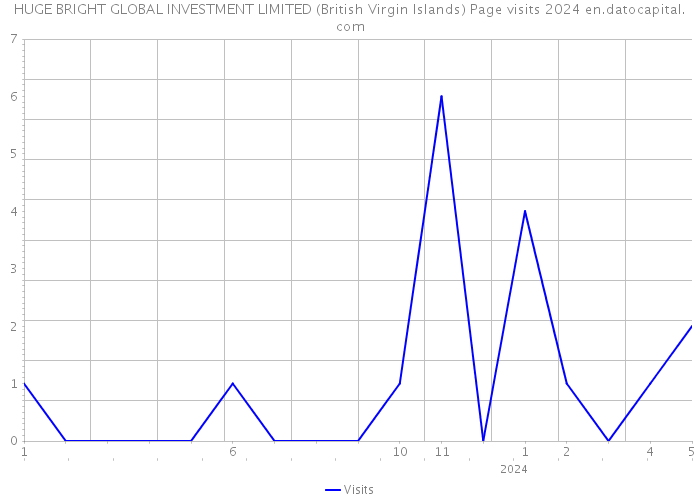 HUGE BRIGHT GLOBAL INVESTMENT LIMITED (British Virgin Islands) Page visits 2024 