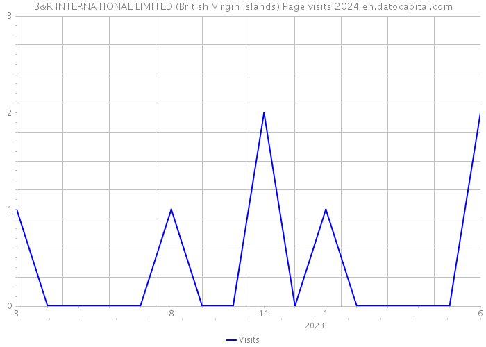 B&R INTERNATIONAL LIMITED (British Virgin Islands) Page visits 2024 