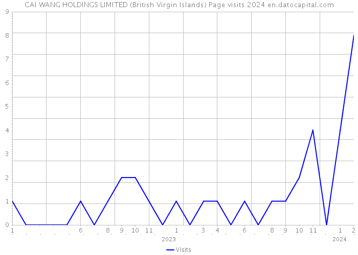 CAI WANG HOLDINGS LIMITED (British Virgin Islands) Page visits 2024 