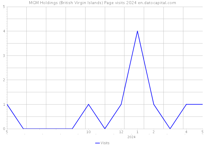 MGM Holdings (British Virgin Islands) Page visits 2024 