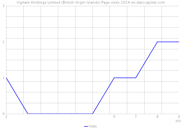 Vigilate Holdings Limited (British Virgin Islands) Page visits 2024 