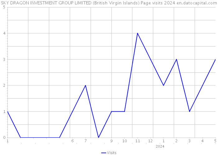 SKY DRAGON INVESTMENT GROUP LIMITED (British Virgin Islands) Page visits 2024 