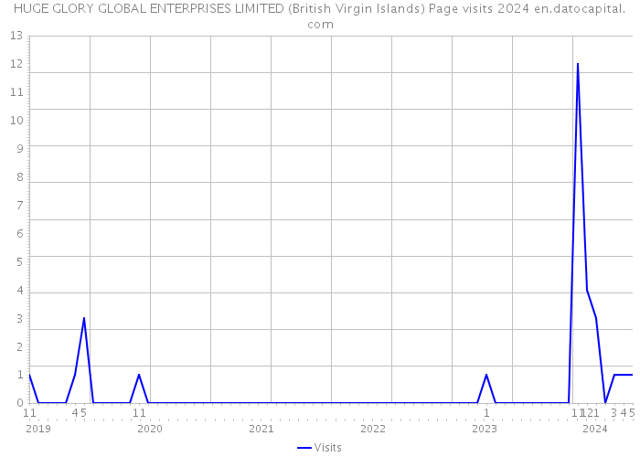 HUGE GLORY GLOBAL ENTERPRISES LIMITED (British Virgin Islands) Page visits 2024 