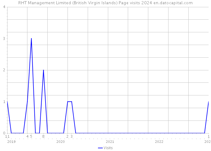 RHT Management Limited (British Virgin Islands) Page visits 2024 