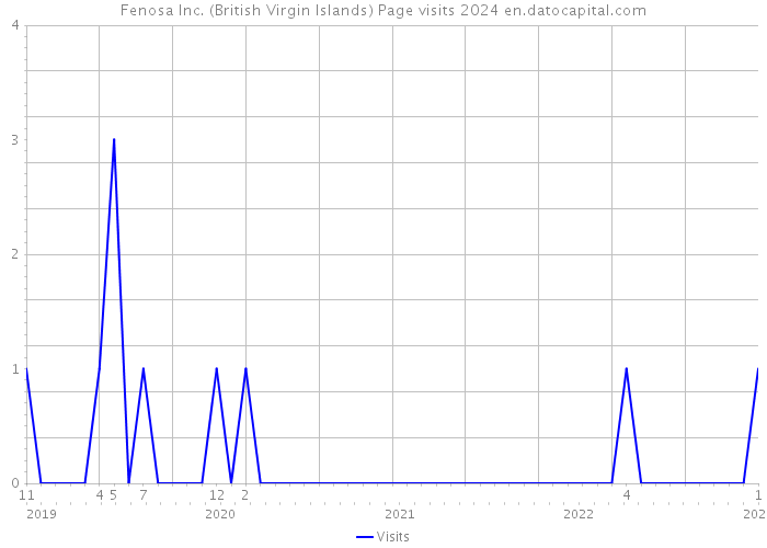 Fenosa Inc. (British Virgin Islands) Page visits 2024 
