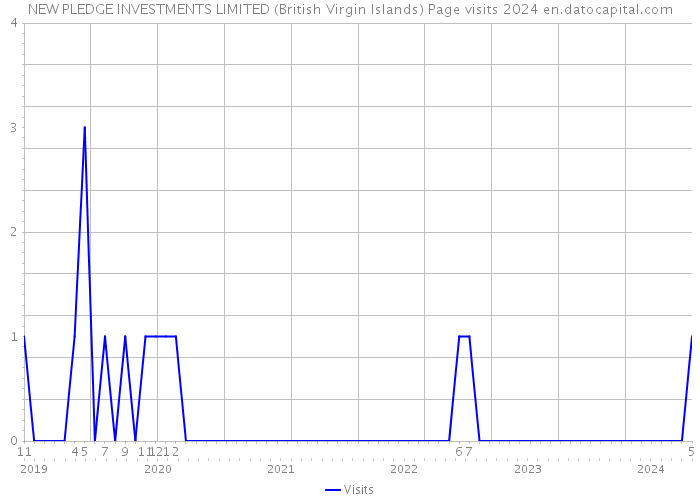 NEW PLEDGE INVESTMENTS LIMITED (British Virgin Islands) Page visits 2024 