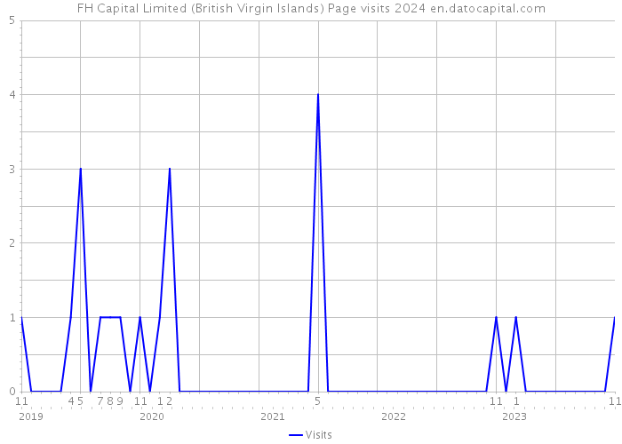 FH Capital Limited (British Virgin Islands) Page visits 2024 