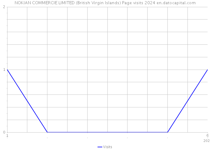 NOKIAN COMMERCIE LIMITED (British Virgin Islands) Page visits 2024 