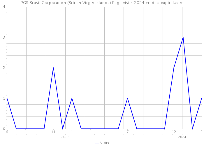 PG3 Brasil Corporation (British Virgin Islands) Page visits 2024 