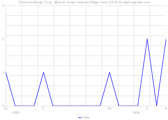 Cibra Holdings Corp. (British Virgin Islands) Page visits 2024 