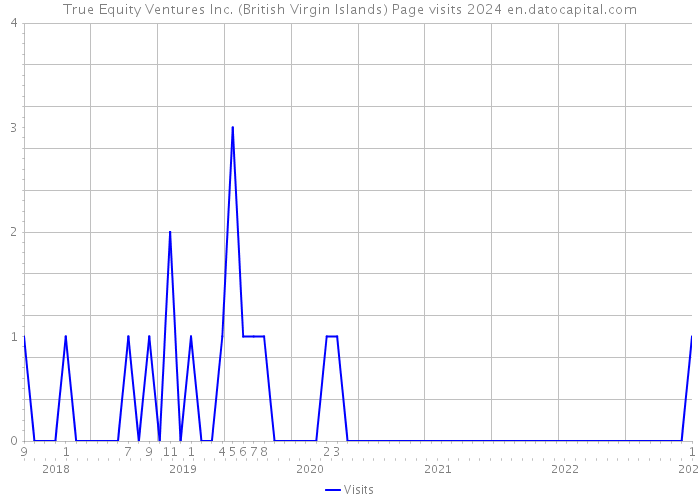 True Equity Ventures Inc. (British Virgin Islands) Page visits 2024 