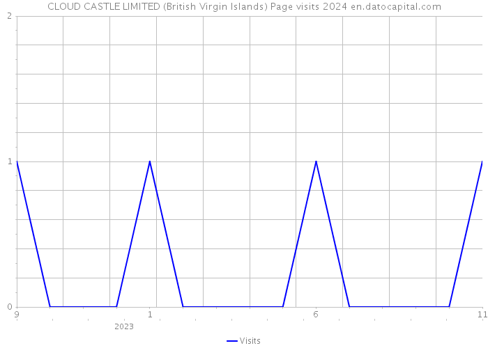 CLOUD CASTLE LIMITED (British Virgin Islands) Page visits 2024 