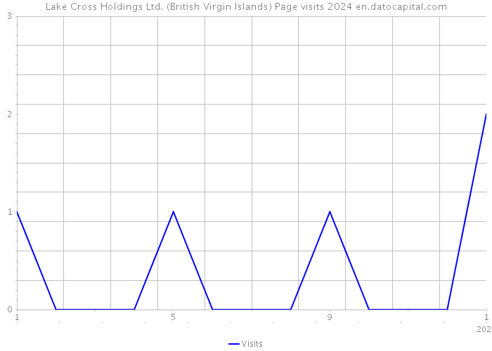 Lake Cross Holdings Ltd. (British Virgin Islands) Page visits 2024 