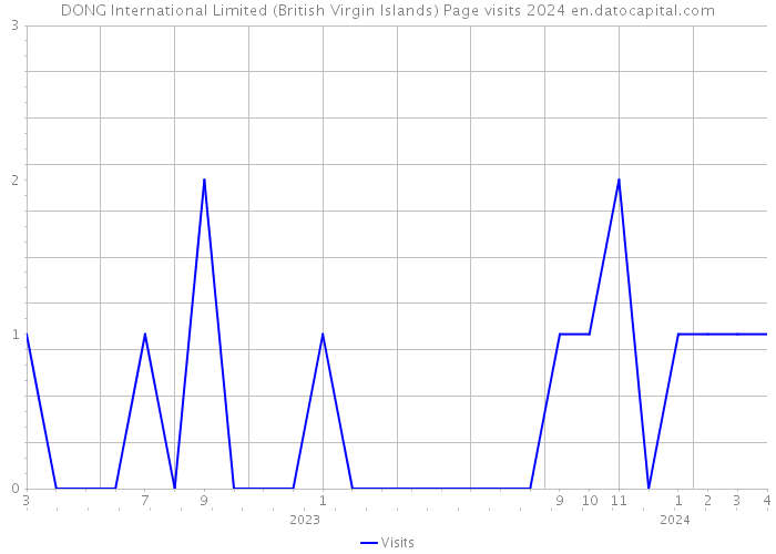 DONG International Limited (British Virgin Islands) Page visits 2024 