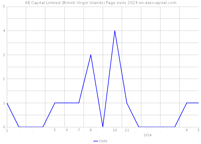 AE Capital Limited (British Virgin Islands) Page visits 2024 