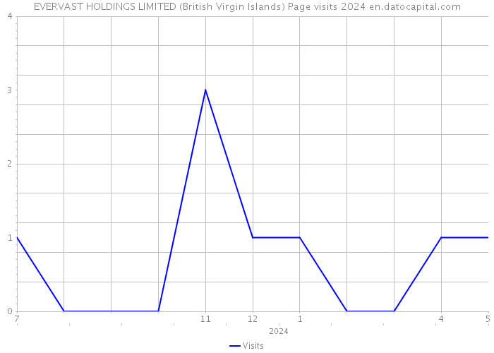 EVERVAST HOLDINGS LIMITED (British Virgin Islands) Page visits 2024 