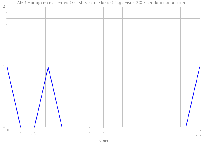 AMR Management Limited (British Virgin Islands) Page visits 2024 