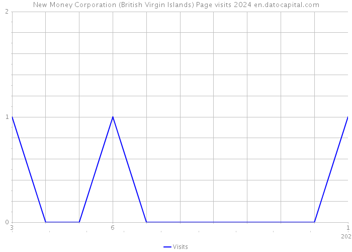 New Money Corporation (British Virgin Islands) Page visits 2024 