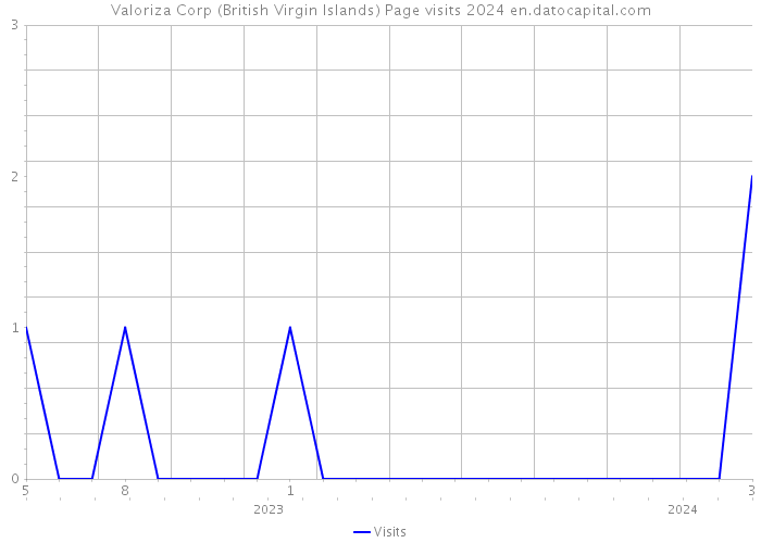 Valoriza Corp (British Virgin Islands) Page visits 2024 
