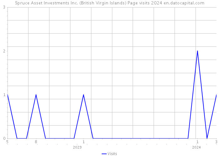 Spruce Asset Investments Inc. (British Virgin Islands) Page visits 2024 