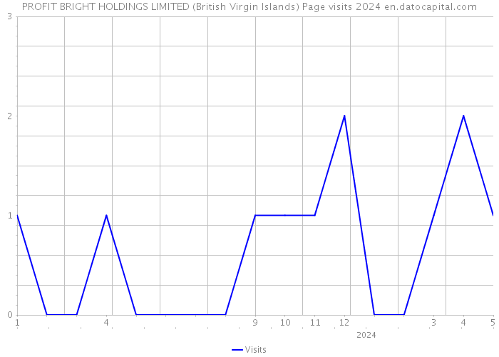 PROFIT BRIGHT HOLDINGS LIMITED (British Virgin Islands) Page visits 2024 