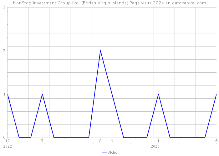NonStop Investment Group Ltd. (British Virgin Islands) Page visits 2024 