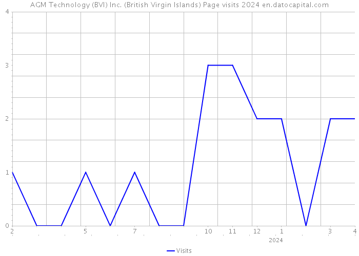 AGM Technology (BVI) Inc. (British Virgin Islands) Page visits 2024 
