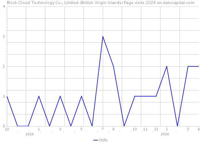 Block Cloud Technology Co., Limited (British Virgin Islands) Page visits 2024 