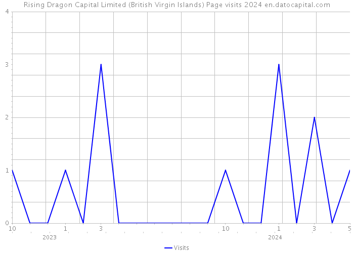 Rising Dragon Capital Limited (British Virgin Islands) Page visits 2024 