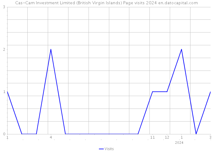 Cas-Cam Investment Limited (British Virgin Islands) Page visits 2024 