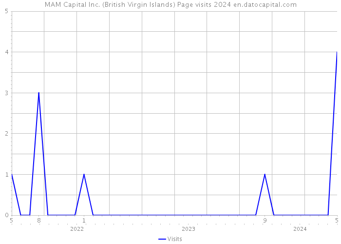 MAM Capital Inc. (British Virgin Islands) Page visits 2024 