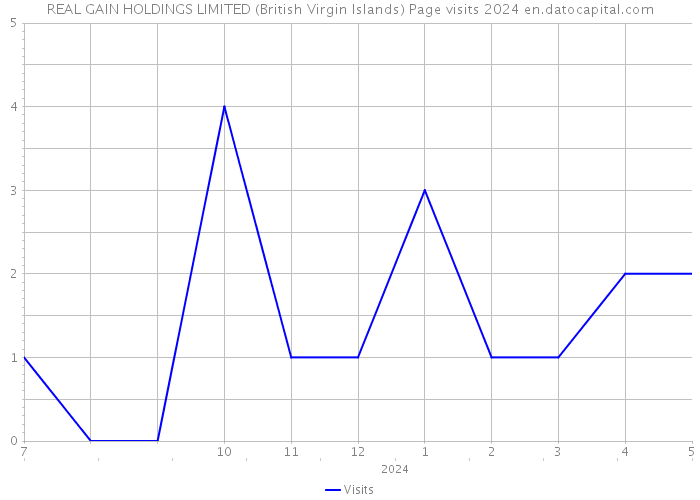 REAL GAIN HOLDINGS LIMITED (British Virgin Islands) Page visits 2024 