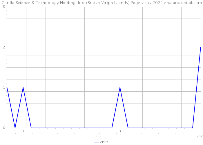 Gorilla Science & Technology Holding, Inc. (British Virgin Islands) Page visits 2024 