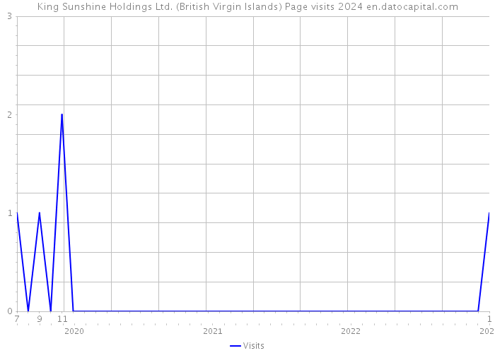 King Sunshine Holdings Ltd. (British Virgin Islands) Page visits 2024 