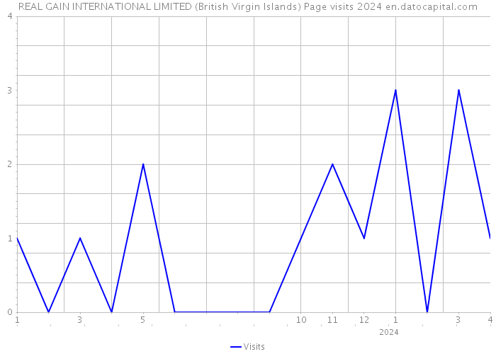 REAL GAIN INTERNATIONAL LIMITED (British Virgin Islands) Page visits 2024 