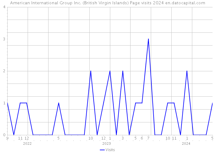 American International Group Inc. (British Virgin Islands) Page visits 2024 