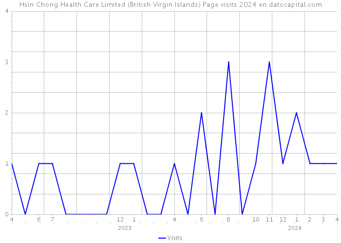 Hsin Chong Health Care Limited (British Virgin Islands) Page visits 2024 