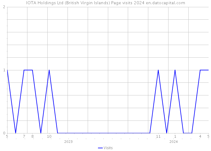 IOTA Holdings Ltd (British Virgin Islands) Page visits 2024 