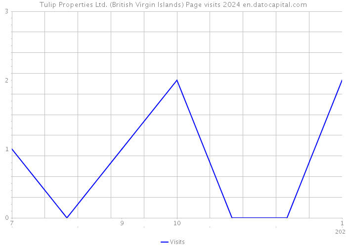 Tulip Properties Ltd. (British Virgin Islands) Page visits 2024 