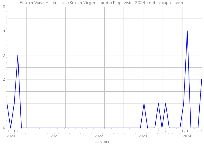 Fourth Wave Assets Ltd. (British Virgin Islands) Page visits 2024 