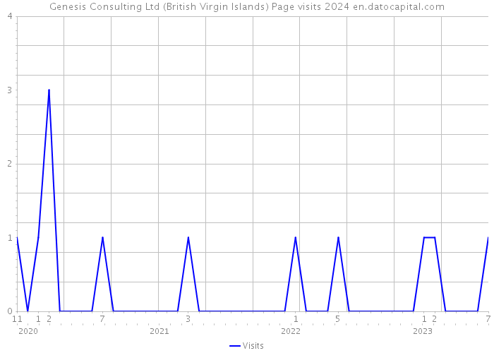 Genesis Consulting Ltd (British Virgin Islands) Page visits 2024 