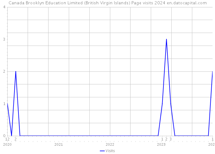Canada Brooklyn Education Limited (British Virgin Islands) Page visits 2024 